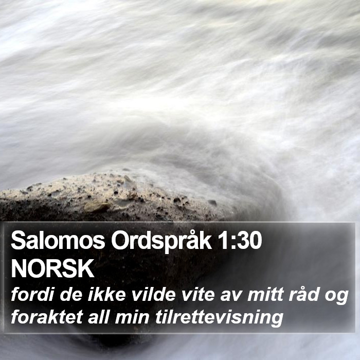 Salomos Ordspråk 1:30 NORSK Bible Study