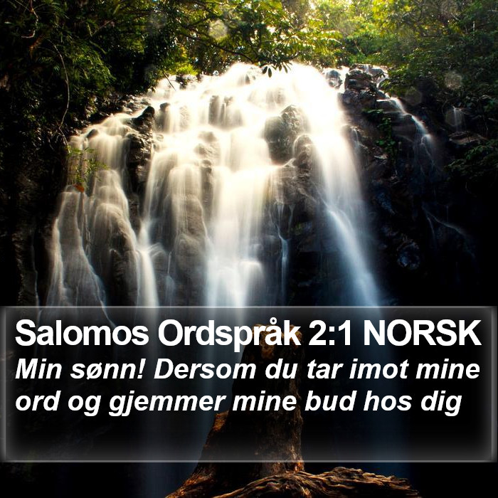 Salomos Ordspråk 2:1 NORSK Bible Study