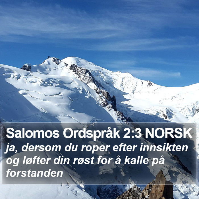 Salomos Ordspråk 2:3 NORSK Bible Study