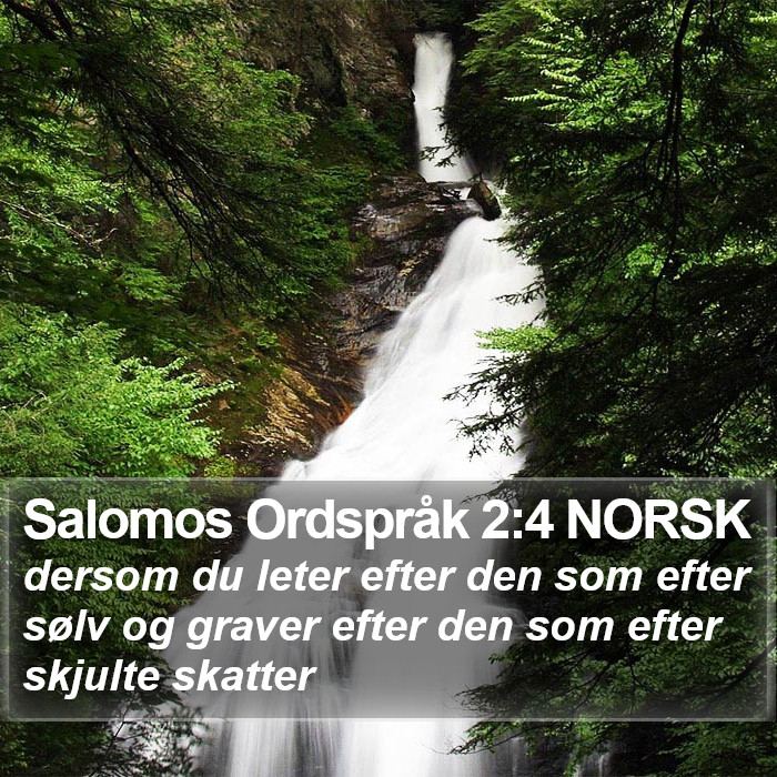 Salomos Ordspråk 2:4 NORSK Bible Study