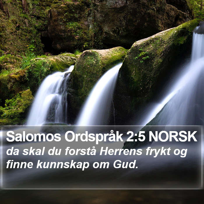 Salomos Ordspråk 2:5 NORSK Bible Study