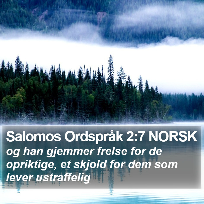 Salomos Ordspråk 2:7 NORSK Bible Study