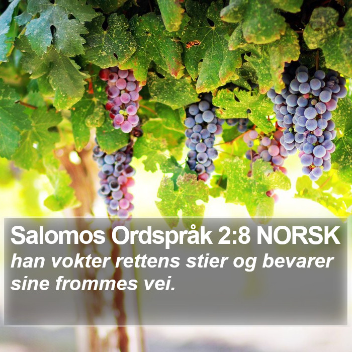 Salomos Ordspråk 2:8 NORSK Bible Study