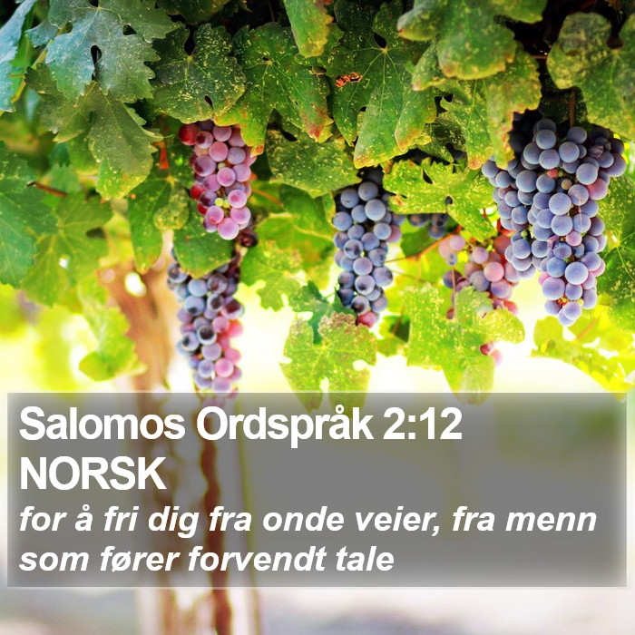 Salomos Ordspråk 2:12 NORSK Bible Study