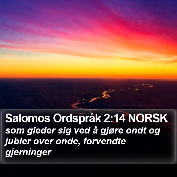 Salomos Ordspråk 2:14 NORSK Bible Study