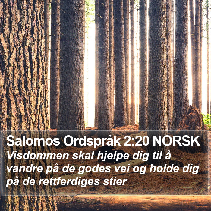 Salomos Ordspråk 2:20 NORSK Bible Study