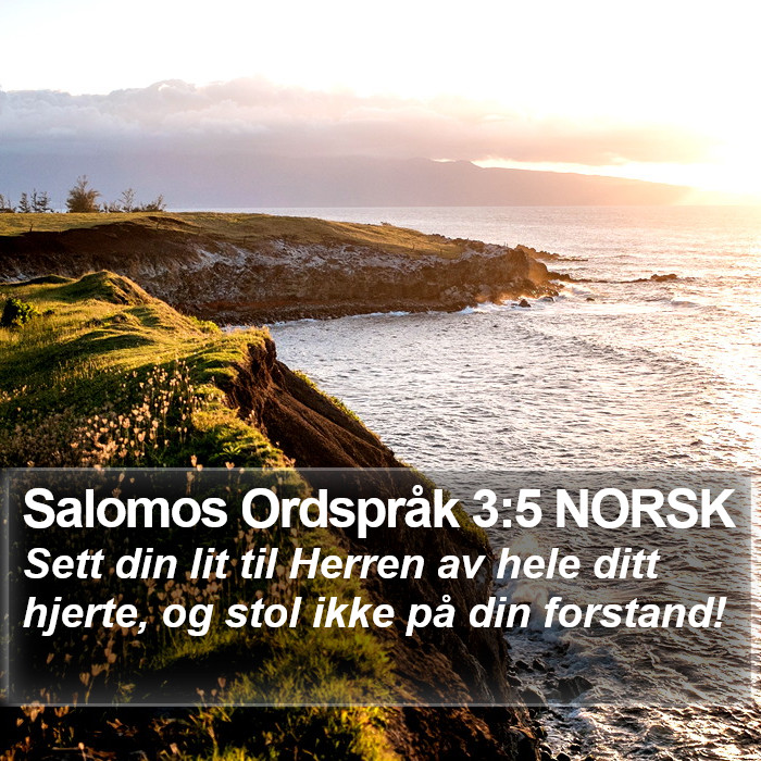 Salomos Ordspråk 3:5 NORSK Bible Study