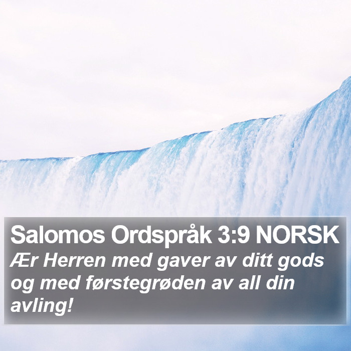 Salomos Ordspråk 3:9 NORSK Bible Study