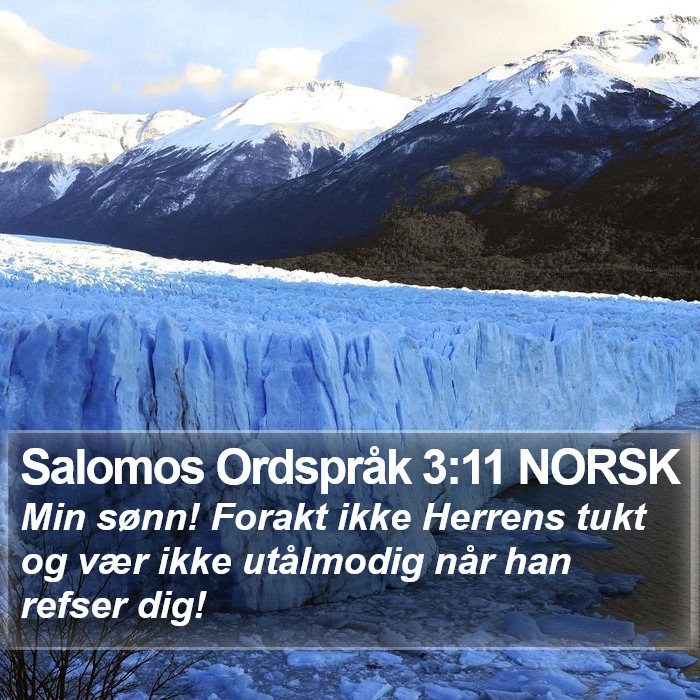 Salomos Ordspråk 3:11 NORSK Bible Study