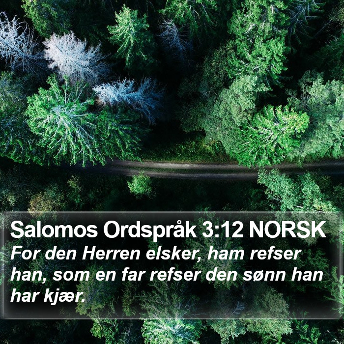 Salomos Ordspråk 3:12 NORSK Bible Study