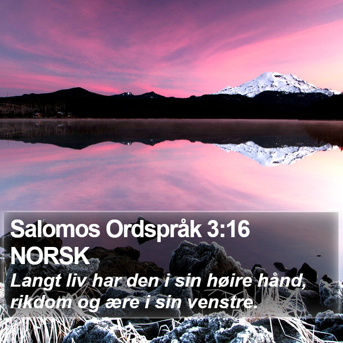 Salomos Ordspråk 3:16 NORSK Bible Study