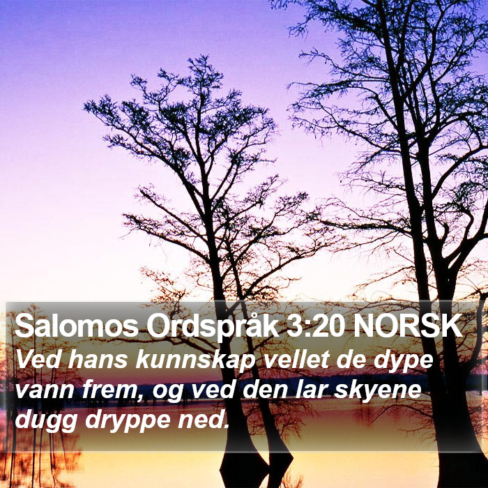 Salomos Ordspråk 3:20 NORSK Bible Study