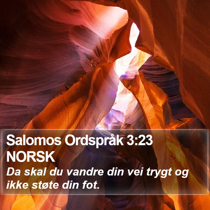 Salomos Ordspråk 3:23 NORSK Bible Study