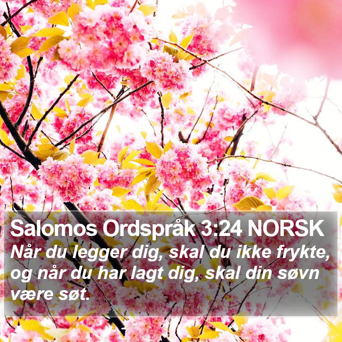 Salomos Ordspråk 3:24 NORSK Bible Study