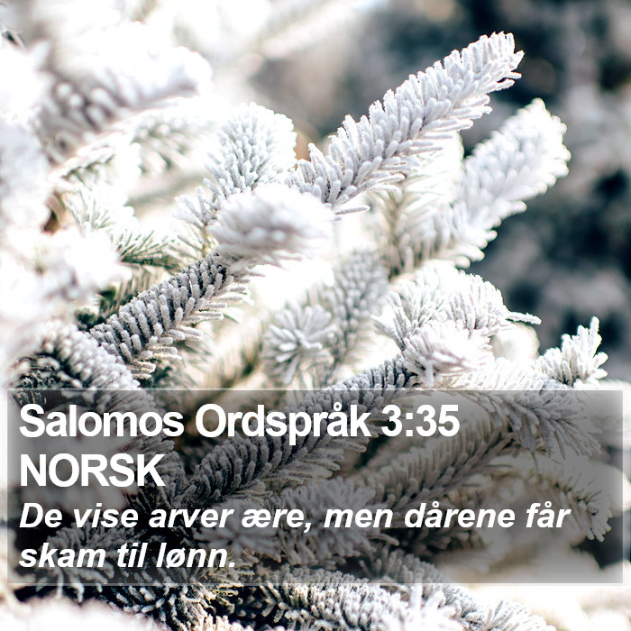 Salomos Ordspråk 3:35 NORSK Bible Study