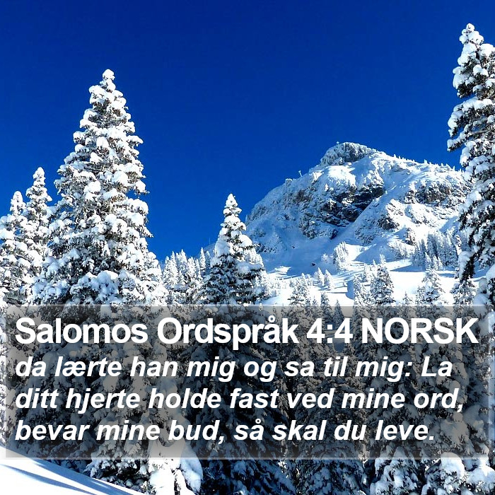 Salomos Ordspråk 4:4 NORSK Bible Study