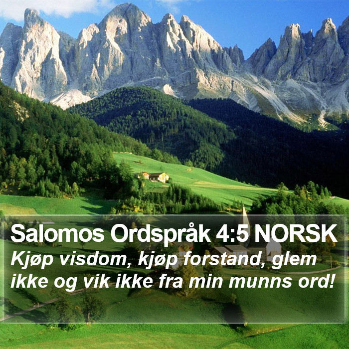 Salomos Ordspråk 4:5 NORSK Bible Study