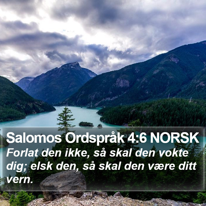 Salomos Ordspråk 4:6 NORSK Bible Study