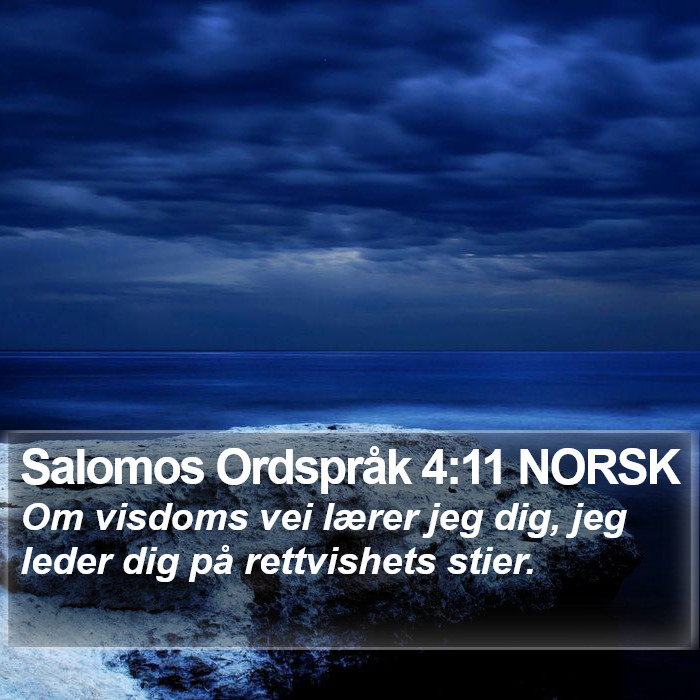 Salomos Ordspråk 4:11 NORSK Bible Study