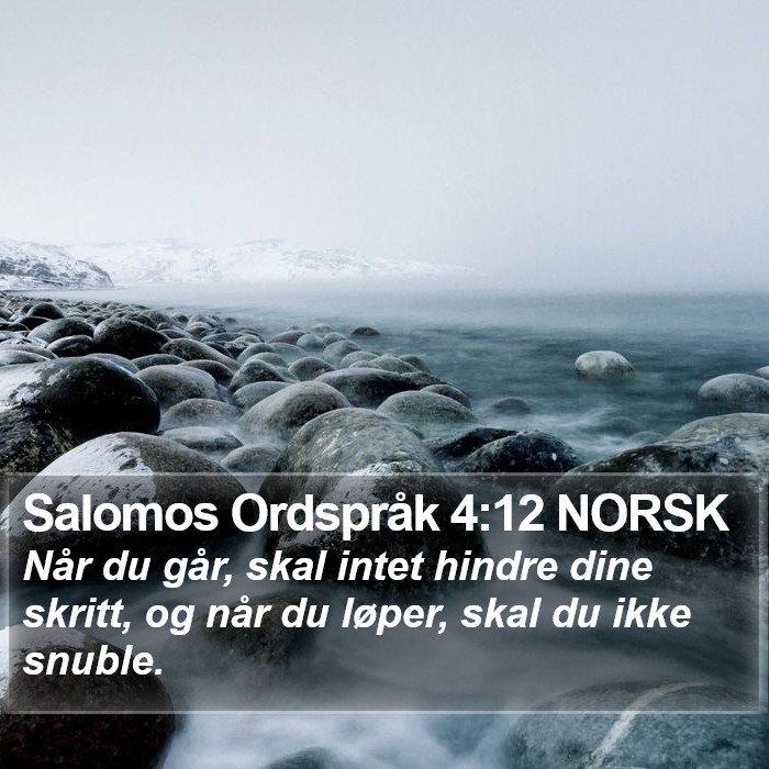 Salomos Ordspråk 4:12 NORSK Bible Study