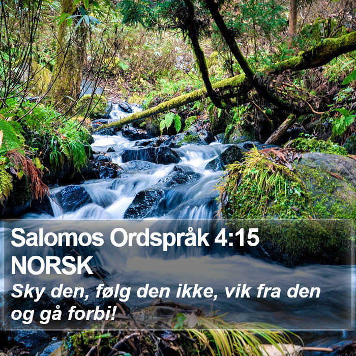 Salomos Ordspråk 4:15 NORSK Bible Study