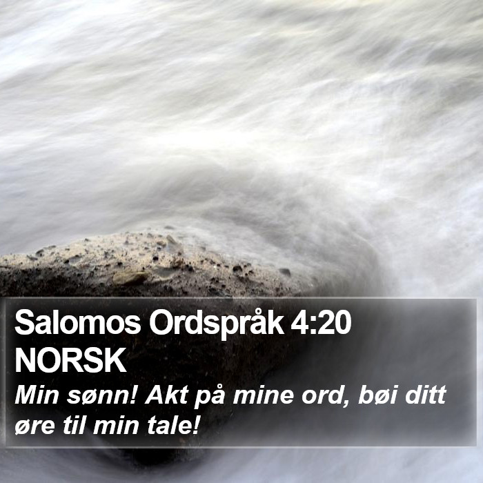 Salomos Ordspråk 4:20 NORSK Bible Study