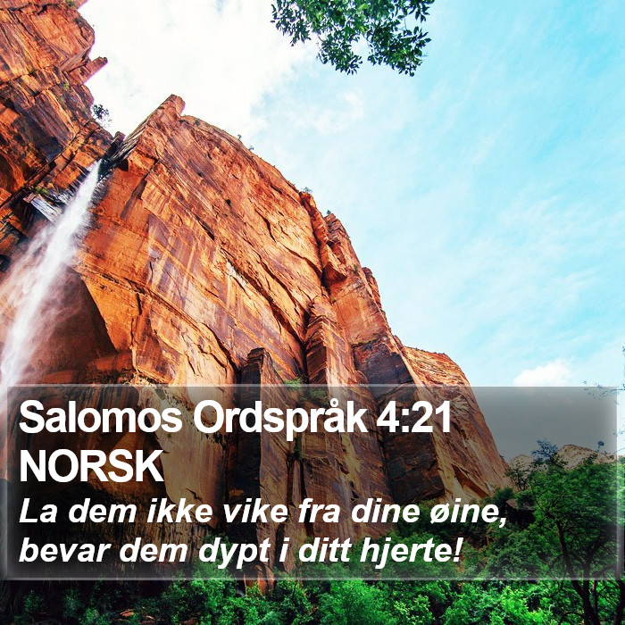 Salomos Ordspråk 4:21 NORSK Bible Study