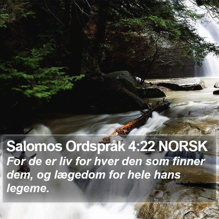 Salomos Ordspråk 4:22 NORSK Bible Study