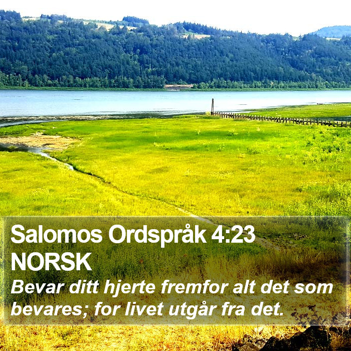 Salomos Ordspråk 4:23 NORSK Bible Study