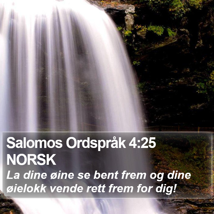 Salomos Ordspråk 4:25 NORSK Bible Study