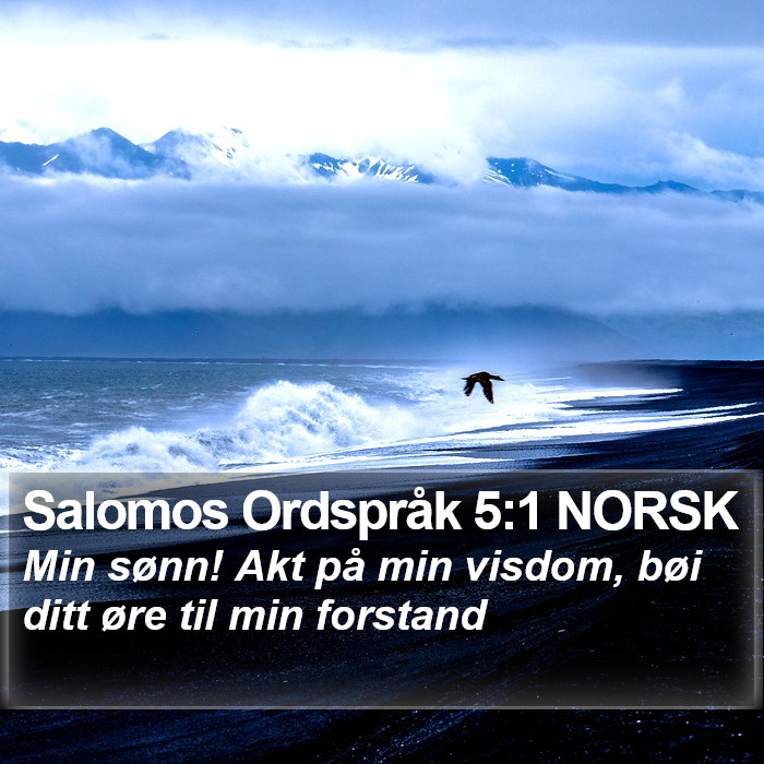 Salomos Ordspråk 5:1 NORSK Bible Study