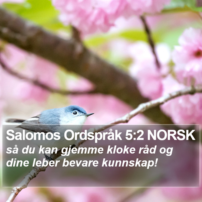 Salomos Ordspråk 5:2 NORSK Bible Study