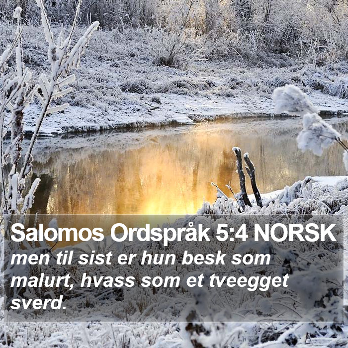 Salomos Ordspråk 5:4 NORSK Bible Study