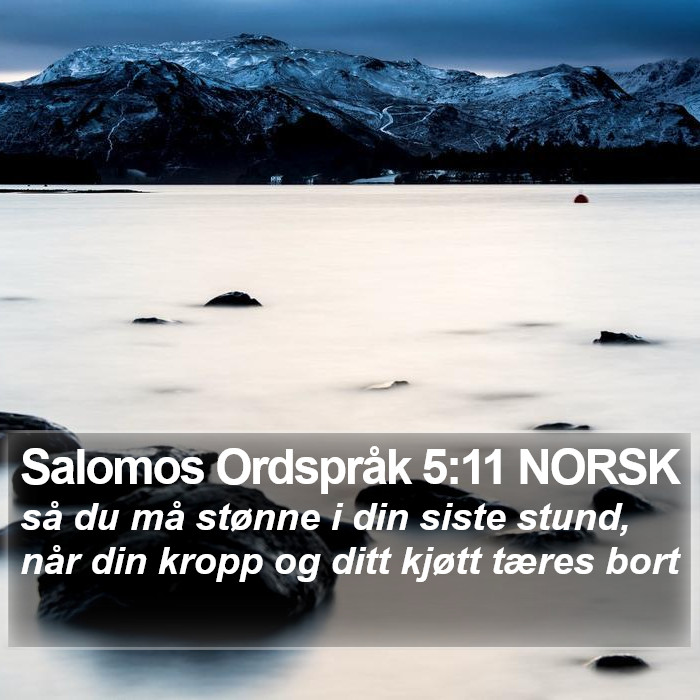 Salomos Ordspråk 5:11 NORSK Bible Study