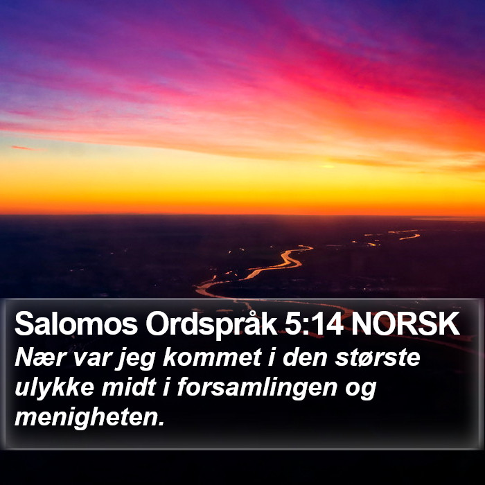 Salomos Ordspråk 5:14 NORSK Bible Study