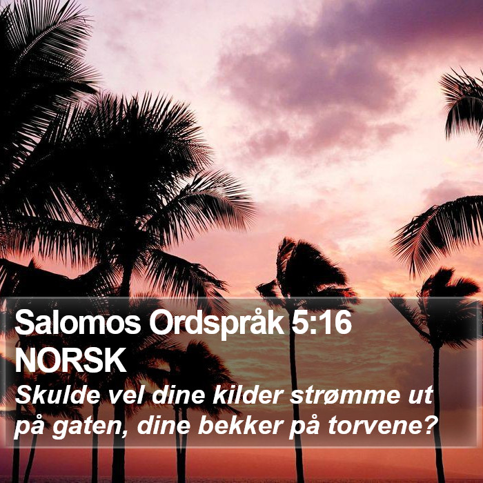 Salomos Ordspråk 5:16 NORSK Bible Study