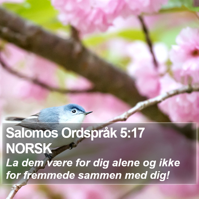 Salomos Ordspråk 5:17 NORSK Bible Study