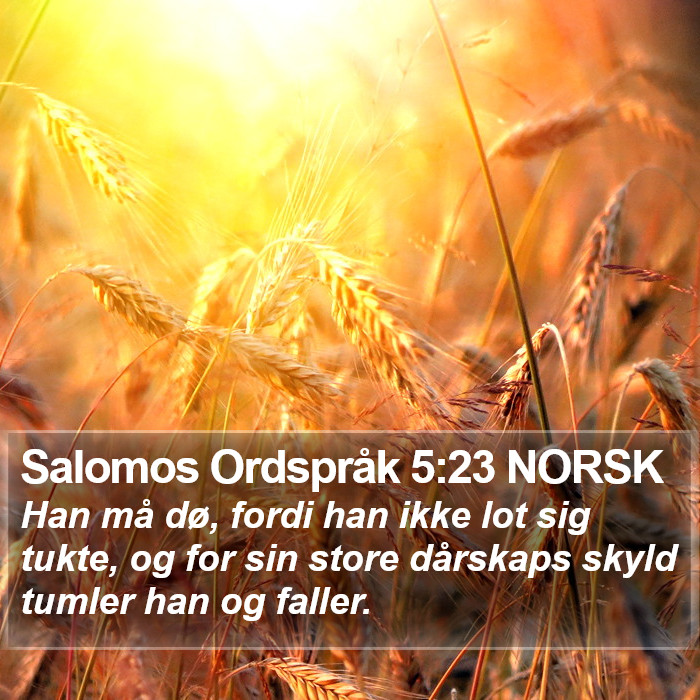 Salomos Ordspråk 5:23 NORSK Bible Study