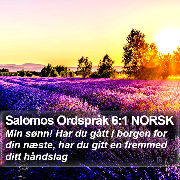 Salomos Ordspråk 6:1 NORSK Bible Study