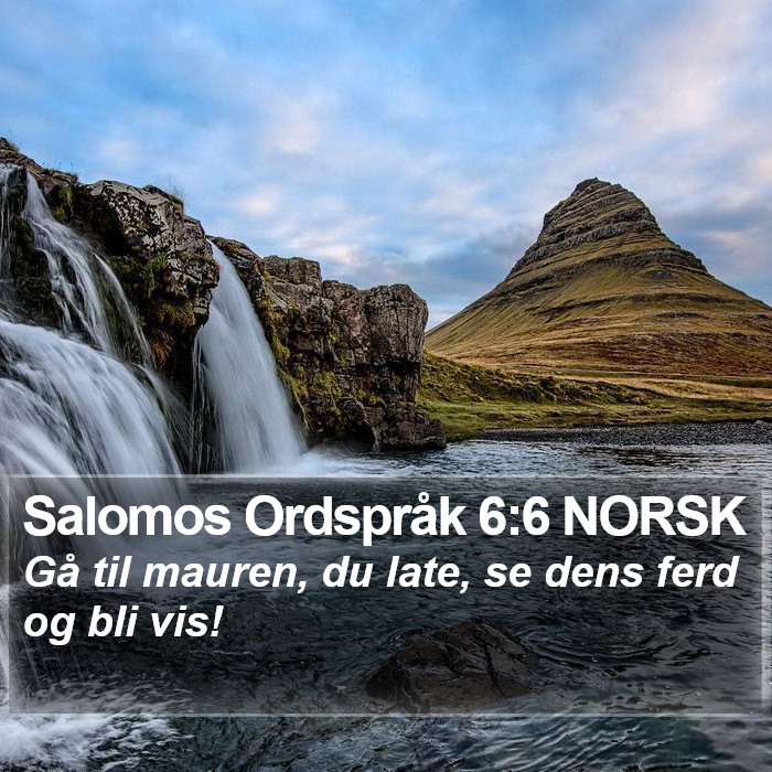 Salomos Ordspråk 6:6 NORSK Bible Study