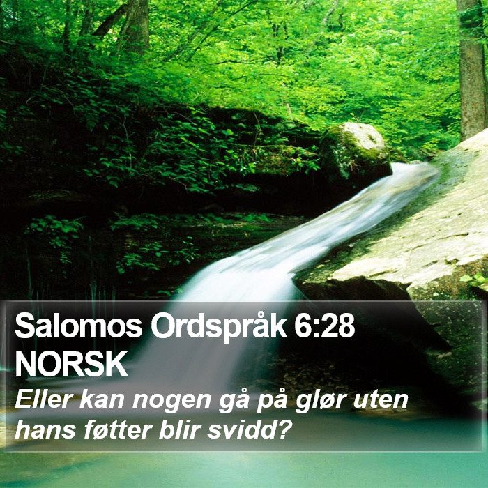 Salomos Ordspråk 6:28 NORSK Bible Study