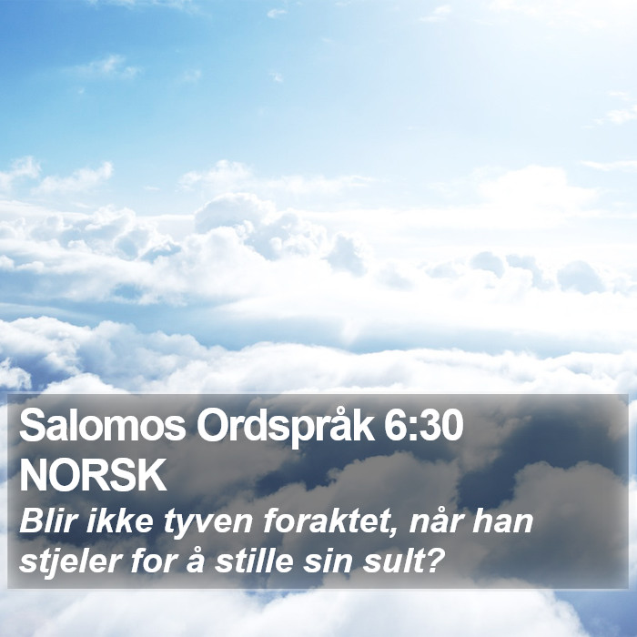 Salomos Ordspråk 6:30 NORSK Bible Study