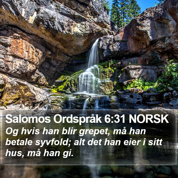 Salomos Ordspråk 6:31 NORSK Bible Study