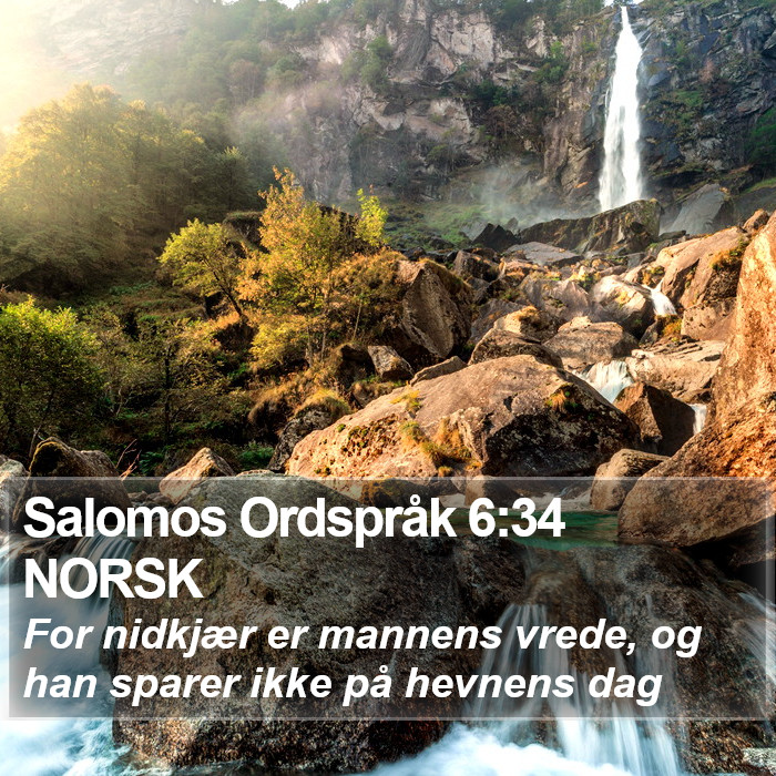 Salomos Ordspråk 6:34 NORSK Bible Study