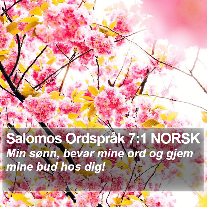 Salomos Ordspråk 7:1 NORSK Bible Study