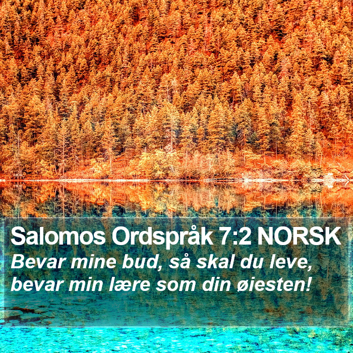 Salomos Ordspråk 7:2 NORSK Bible Study