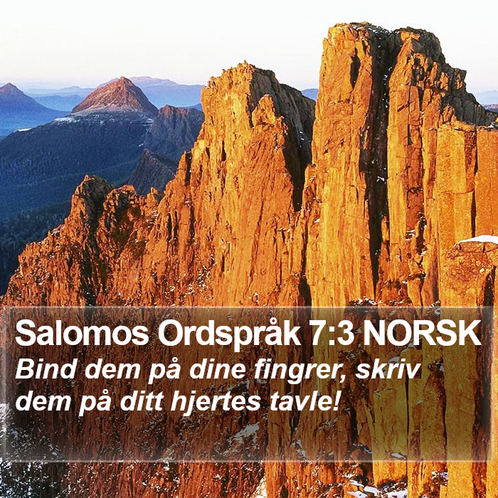 Salomos Ordspråk 7:3 NORSK Bible Study