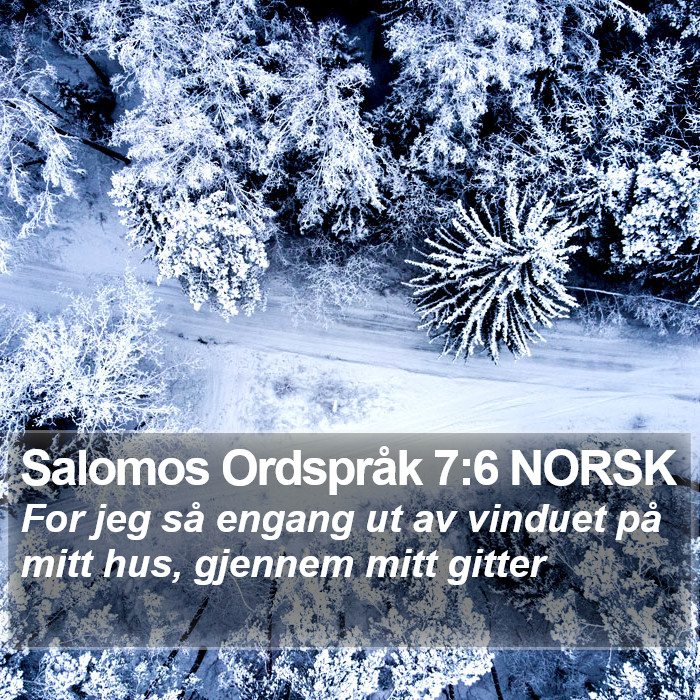 Salomos Ordspråk 7:6 NORSK Bible Study