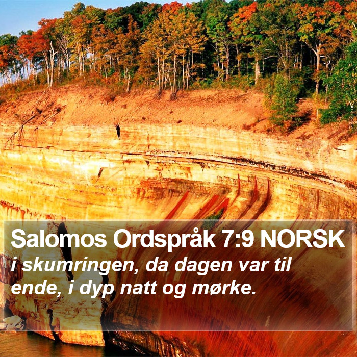 Salomos Ordspråk 7:9 NORSK Bible Study