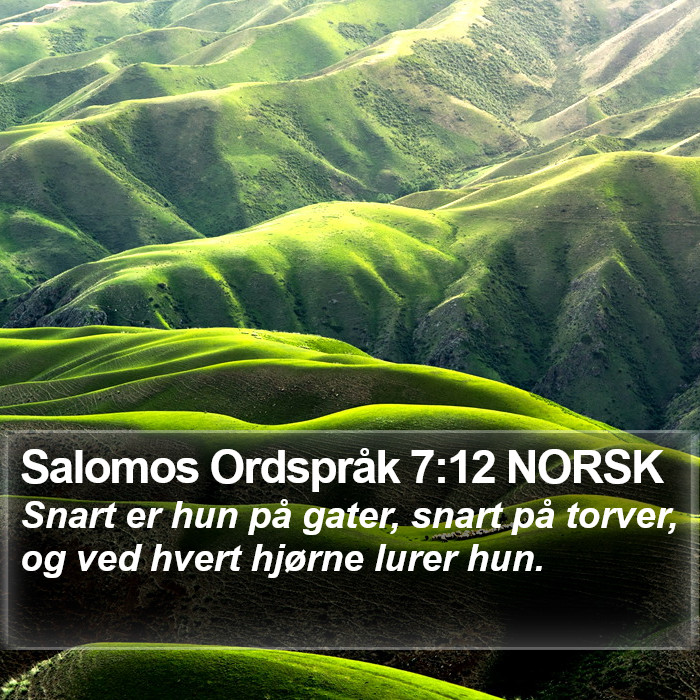 Salomos Ordspråk 7:12 NORSK Bible Study